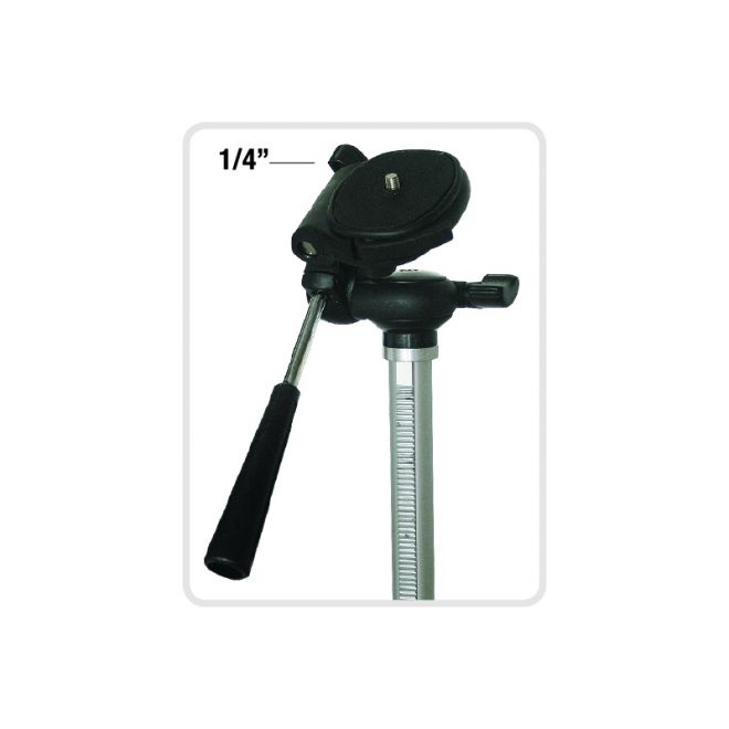 TREPPIEDE1
